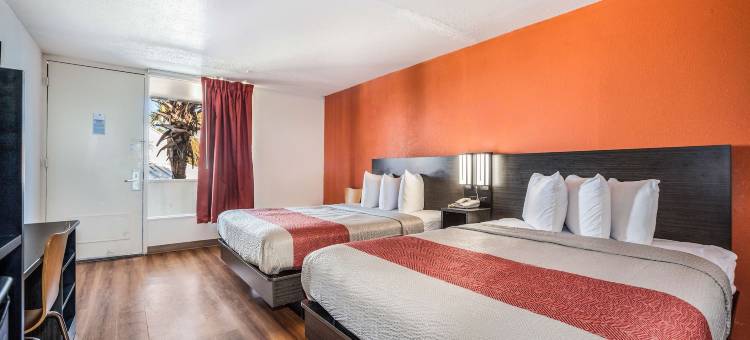 南卡罗莱纳佛罗伦萨 6 号汽车旅馆(Motel 6 Florence, SC)图片