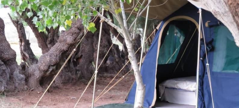 卡鲁葛瑞普帐篷营地(Karoo Gariep Tented Camp)图片