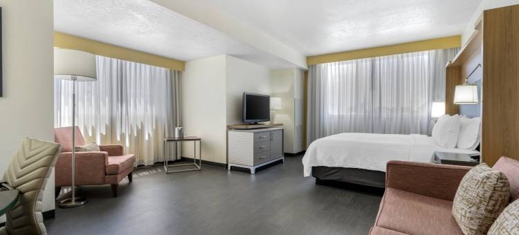 奥兰多国际大道-标志假日酒店(Holiday Inn Orlando International DR-Icon)图片