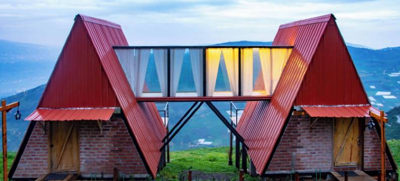 梦中的雪松(El Cedro SOÑADO)图片