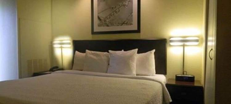 加尔维斯顿岛万豪SpringHill酒店(SpringHill Suites Galveston Island)图片