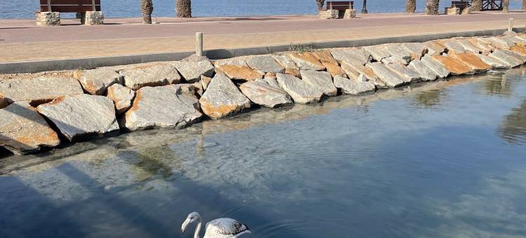 公平道 - 马尔梅诺高尔夫度假村的豪华前线别墅(The Fairways - Luxurious Front Line Villa on Mar Menor Golf Resort)图片