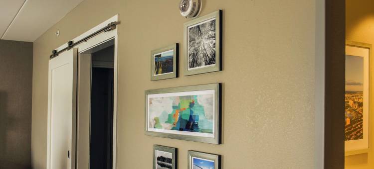 福克斯伯勒曼斯菲尔德欢朋套房酒店(Hampton Inn & Suites Foxborough -Mansfield)图片