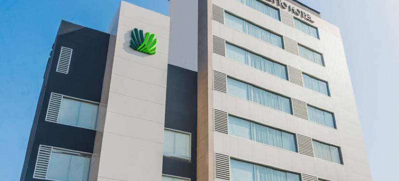 圣米格尔帕尔梅托商务酒店(Palmetto Hotel Business San Miguel)图片