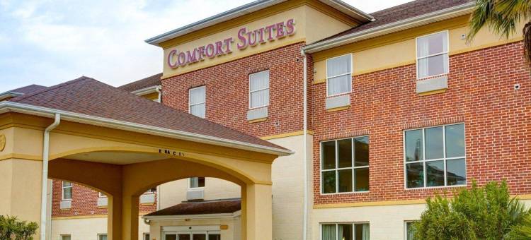 大学路舒适套房酒店(Comfort Suites University Drive)图片