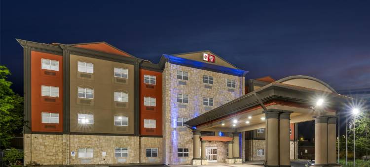 JFK贝斯特韦斯特优质套房酒店(Best Western Plus JFK Inn  Suites)图片