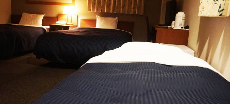 关空未来酒店(HOTEL THE NEXTKANKU)图片