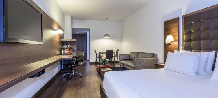 安蒂诺皇家酒店(NH Collection Bogotá Andino Royal)图片