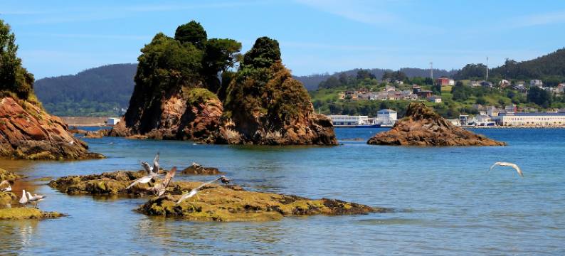 杜尔明海景维维耶洛公寓酒店(Duerming Sea View Viveiro)图片