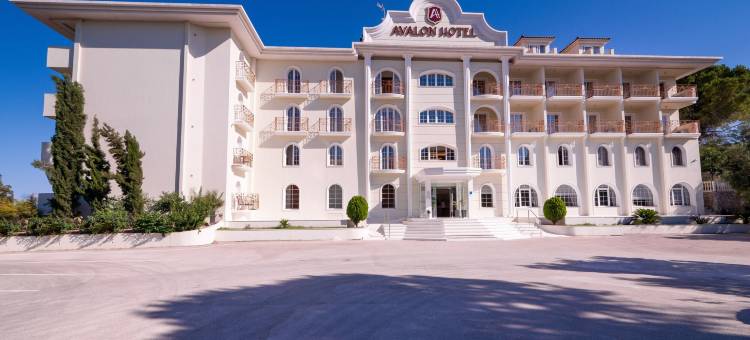 阿瓦隆宫酒店(Avalon Palace Hotel)图片