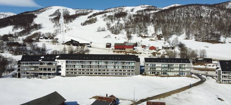 耶卢乌斯特达勒恩酒店(Ustedalen Hotel Geilo)图片