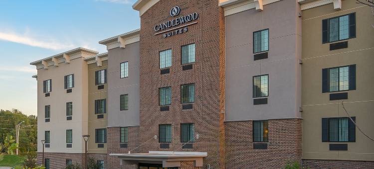 Candlewood Suites 布卢明顿(Candlewood Suites BLOOMINGTON by IHG)图片