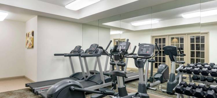 康福特套房巴吞鲁日南部I-10(Comfort Suites Baton Rouge South I-10)图片