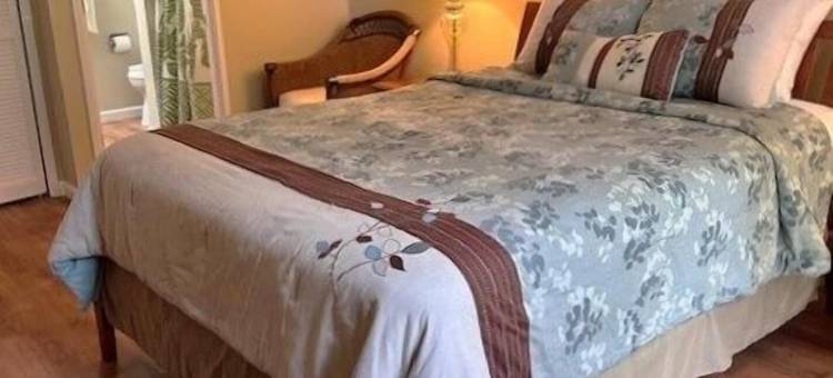 海龟湾樱草 ta-016722124801 1 居共管公寓 - 雷艾温(Turtle Bay Primrose ta-016722124801 1 Bedroom Condo by RedAwning)图片
