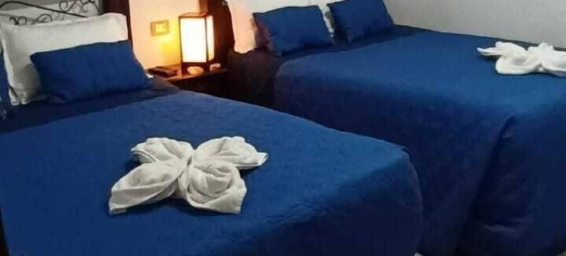 圣塞巴斯蒂安酒店(Hotel San Sebastián)图片