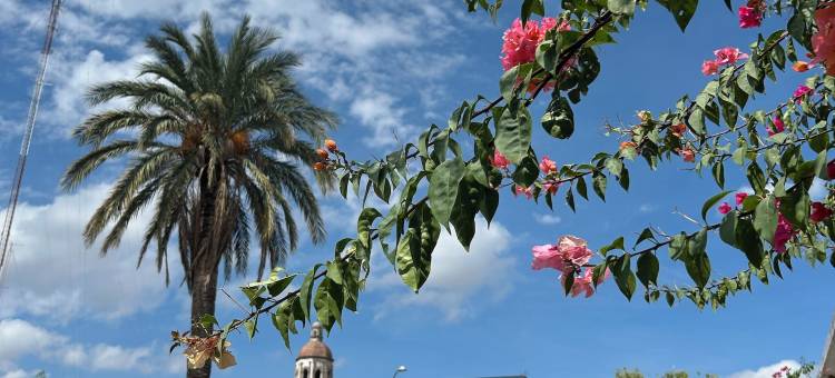 奥林匹亚历史中心酒店(Hotel Olimpia Centro Histórico)图片
