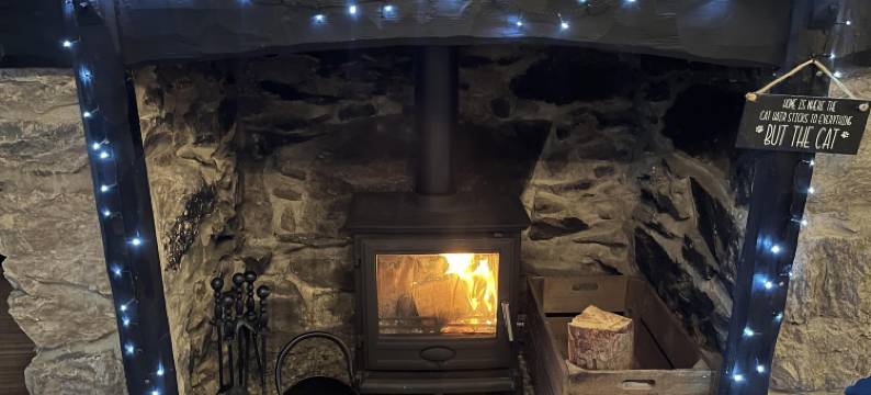 湖景酒店(The Lake View Hotel)图片