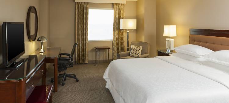 梅泰里新奥尔良喜来登酒店(Sheraton Metairie - New Orleans Hotel)图片