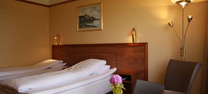 西挪威酒店(Westland Hotel)图片