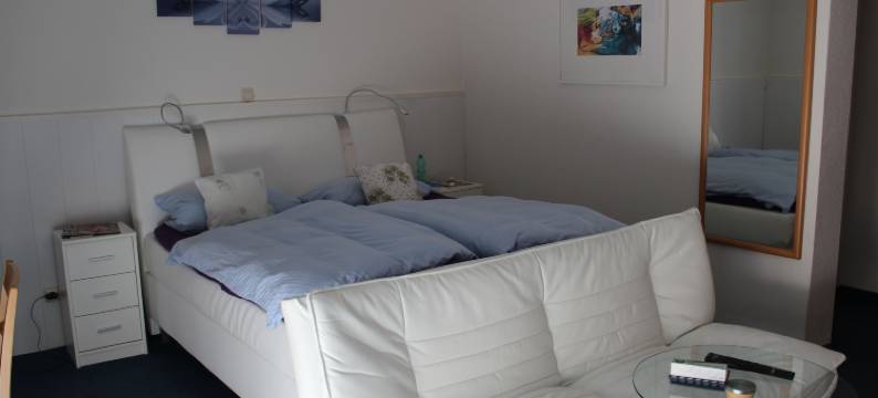 金色汽车酒店(Hotel Zum Goldenen Wagen)图片