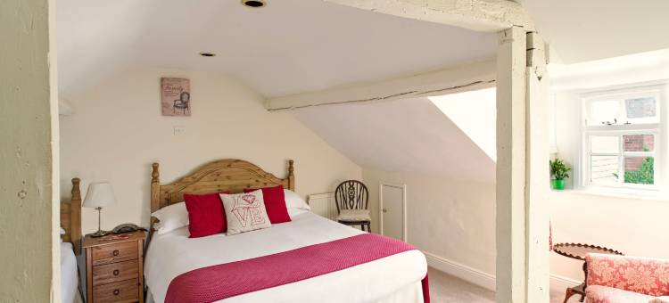 阿莫尼特旅舍(Ammonite Lodge)图片