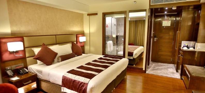 坎普尔水晶雷珍塔中央酒店(Regenta Central the Crystal Kanpur,)图片