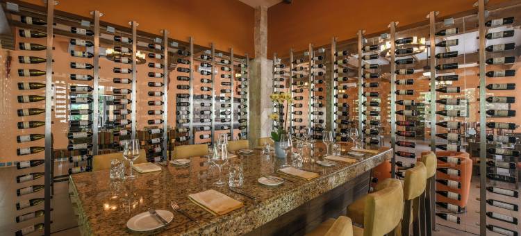 El Dorado Casitas Royale Catamarán, Cenote & More Inclusive图片