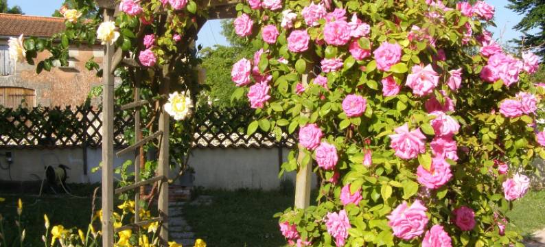 迪尼亚斯旅馆酒店(Chambres d'hôtes les Denias)图片