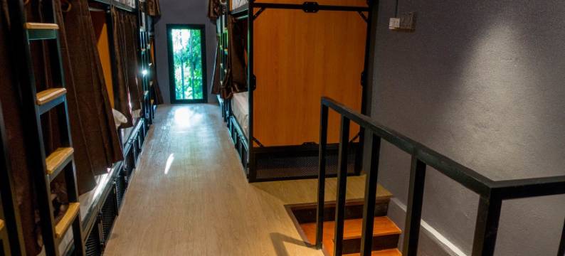 舒适床铺旅舍(Comfy Bed Hostel)图片