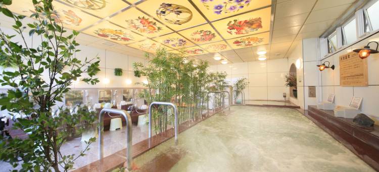 上野站东方旅馆II(Ueno Station Hostel Oriental 2(Men Only))图片