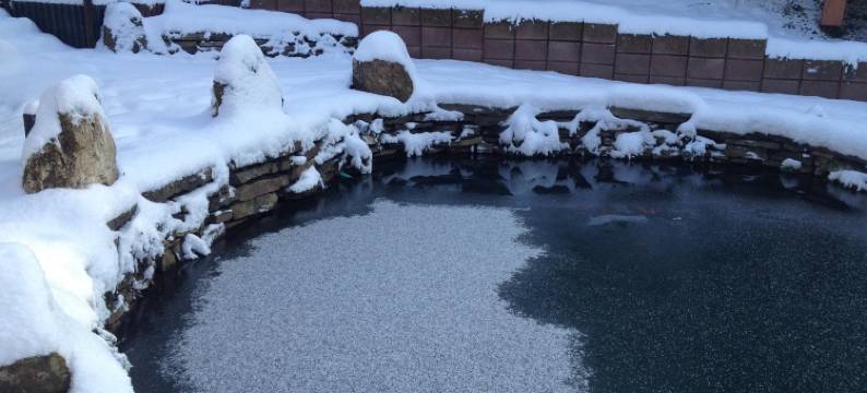 弗尔斯特豪斯酒店(Hotel Forsthaus)图片