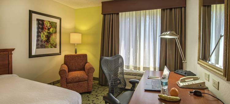 奥本欧佩莱卡希尔顿花园旅馆(Hilton Garden Inn Auburn/Opelika)图片