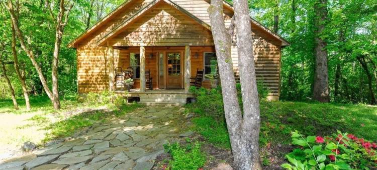 跳舞熊山林小屋(Dancing Bear Lodge)图片