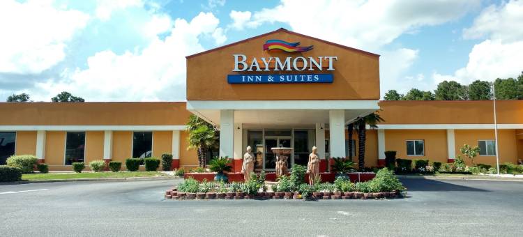 沃尔特伯勒温德姆呗盟酒店(Baymont by Wyndham Walterboro)图片
