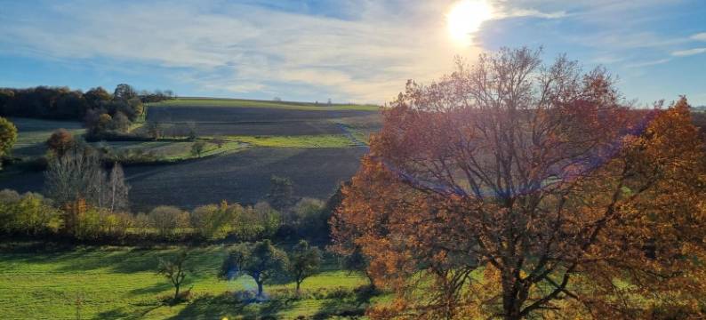 莫斯巴其酒店(Zur Morschbach)图片