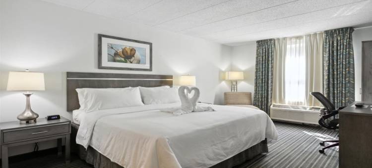 北威廉斯堡智选假日酒店(Holiday Inn Express Williamsburg North)图片