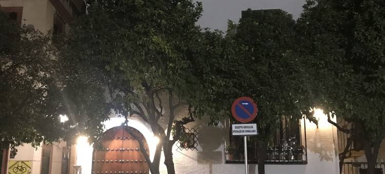 雷堂佩德罗奢华别墅酒店(Rey Don Pedro Luxury Home)图片