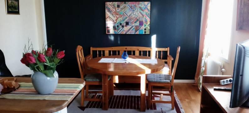 汉马尔旅舍 - 青年旅舍(Vandrarhemmet Hammar - Hostel)图片