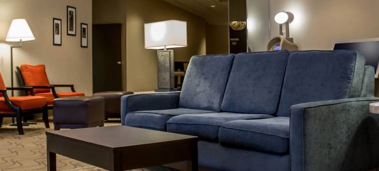 舒适酒店(Comfort Inn)图片