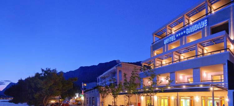 绍达迪酒店(Hotel Saudade)图片