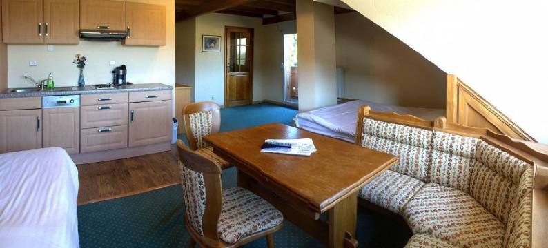 多农山酒店(Hotel du Donon)图片