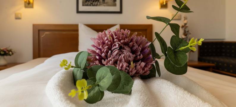 阿勒卡特酒店(Hotel Alekto)图片