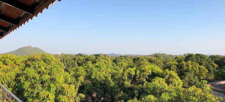 吉尔狮爪带泳池度假村(Gir Lions Paw Resort with Swimming Pool)图片