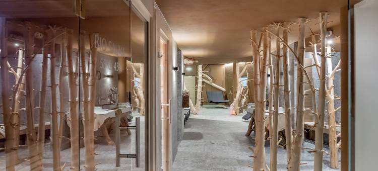 加尼维塞尔公寓式酒店(Apart Hotel Garni Wieser)图片