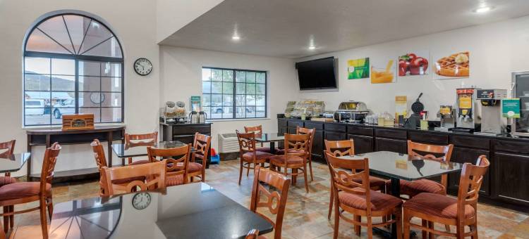 凯艺套房酒店(Quality Inn & Suites)图片