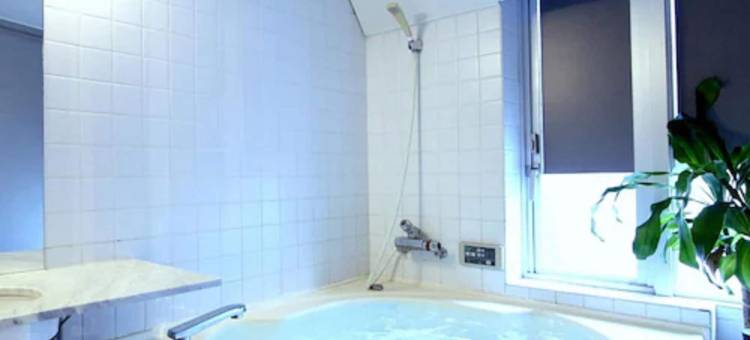 利夫马克斯经济型酒店-东京后乐园店(HOTEL LiVEMAX BUDGET Korakuen)图片