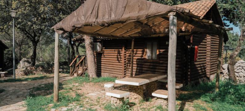 塔霍罗迪略露营地(Camping TajoRodillo)图片