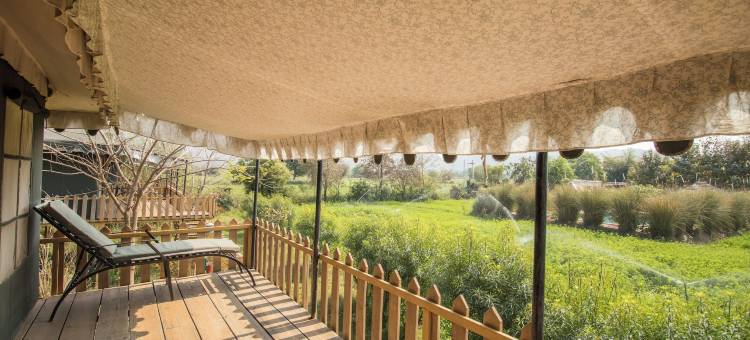 玛阿莎普拉度假村(MAA Ashapura Resort)图片