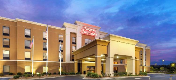 萨凡纳 - 机场希尔顿欢朋套房酒店(Hampton Inn & Suites Savannah-Airport)图片