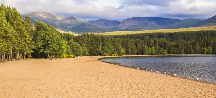 麦克唐纳阿维莫尔林地旅馆(Macdonald Aviemore Woodland Lodges)图片